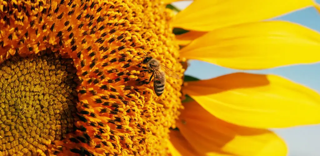 eventsCalendar_1024x500px