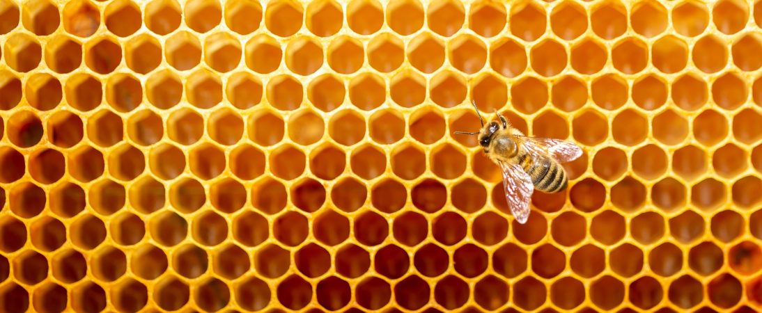 Beautiful,Honeycomb,With,Bees,Close-up.,A,Swarm,Of,Bees,Crawls